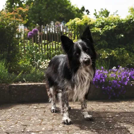 Apartman Maierers Schaiere