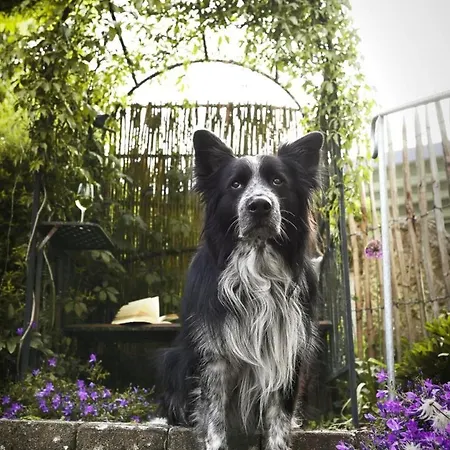 Apartman Maierers Schaiere *