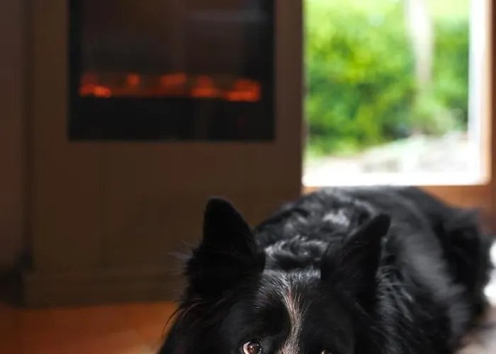 Maierers Schaiere شقة Blaufelden